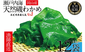 風味豊かな 瀬戸内 わかめ 22g×12袋 エビス水産【岡山 瀬戸内海 天然 カットわかめ】 [№5735-1279]