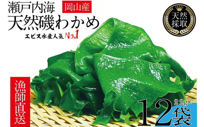 風味豊かな 瀬戸内 わかめ 22g×12袋 エビス水産【岡山 瀬戸内海 天然 カットわかめ】 [№5735-1279]