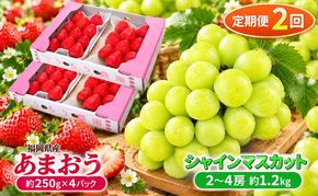 定期便 2回 2027年 いちご シャインマスカット セット あまおう スタンダード 4パック 約1kg シャインマスカット 2～4房 約1.2kg 配送不可 離島 フルーツ 