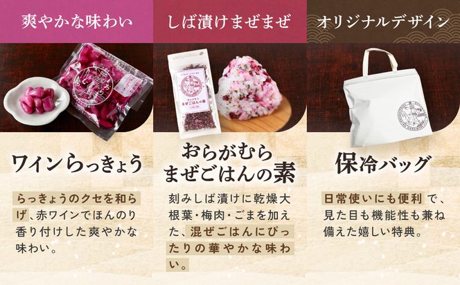 【ニシダや】年間売上40万個！京都人が選ぶ京都土産第3位の【おらがむら漬】が入ったお漬物バラエティ11品(オリジナルデザイン保冷バック付)［ 京都 漬物 志ば漬 老舗 野菜 京野菜 セット 人気 おすすめ お土産 贈答 お取り寄せ つけもの 漬け物 通販 送料無料 ふるさと納税 ］ 261009_A-EX021