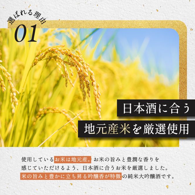 菊日本 純米大吟醸  1本セット おすすめ ギフト プレゼント お祝い お酒 日本酒 純米大吟醸酒