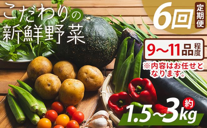 こだわりの新鮮野菜 ６回定期 Waf-0005