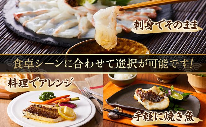 活〆 真鯛 塩焼き  100g × 5パック 304018_C019