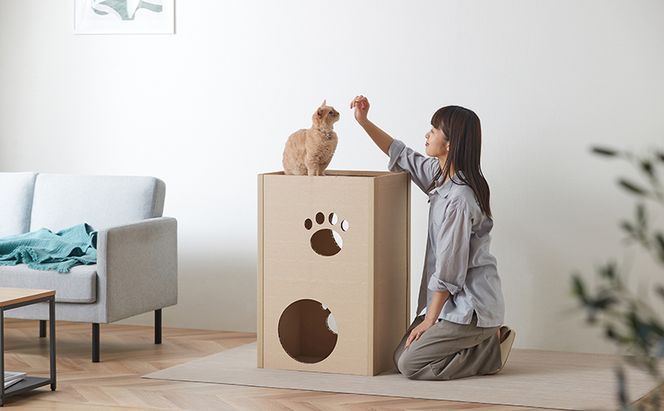 キャットタワー 低め 段ボール ねこねこタワー アイリスオーヤマ 2段 P-NT2 おしゃれ 段ボールハウス キャットハウス かわいい 猫 ネコ cat キャット キャットツリー ボックス ハニカム構造 