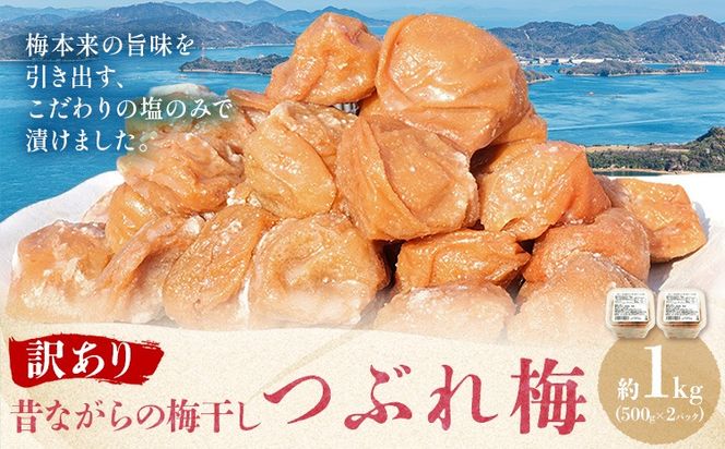 昔ながらの梅干し 訳あり つぶれ梅 約1kg 500g 2パック 農業法人 株式会社紀州梅香《30日以内に出荷予定(土日祝除く)》 和歌山県 日高川町 梅 うめ フルーツ 果物---wshg_kbk5_30d_26_12000_1kg---