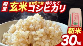 ★新米 先行予約★ 令和8年産 コシヒカリ 玄米 30kg  茨城県つくばみらい市産 ｜ 米 コメ 単一米 コスパ 茨城県産 国産 単一原料米 こしひかり お米
