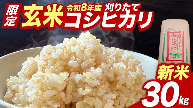 ★新米 先行予約★ 令和8年産 コシヒカリ 玄米 30kg  茨城県つくばみらい市産 ｜ 米 コメ 単一米 コスパ 茨城県産 国産 単一原料米 こしひかり お米