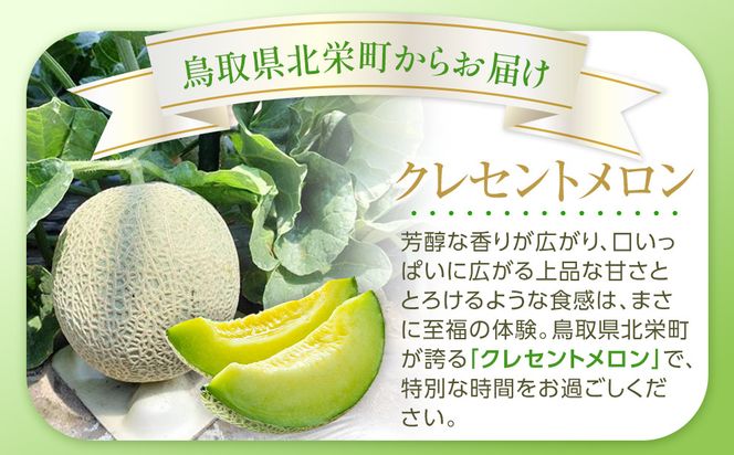 785.【先行予約】青肉メロンの新星「クレセントメロン」うれしい！3~4玉入　※2026年７月中旬より順次発送 313726_AS010