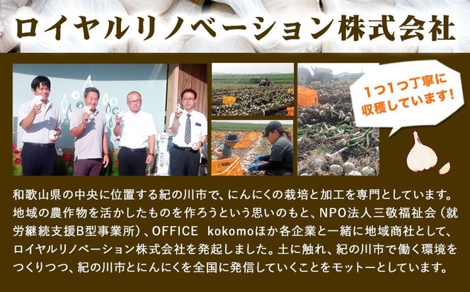 にんにく製品詰め合わせセット ロイヤルリノベーション株式会社 《90日以内に出荷予定(土日祝除く)》 和歌山県 紀の川市---wsk_clrninset_90d_22_13000_3s---