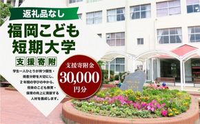 【 返礼品なし 】 「 福岡こども短期大学 」 支援寄附金 （ 30,000円分 ） 寄附のみ 応援寄附金 社会貢献 支援活動 教育 支援 寄附 応援