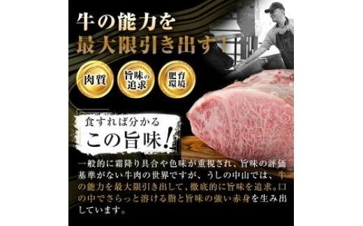 塊肉シリーズ カイノミ 計1kg(1kg×1個) h35-001
