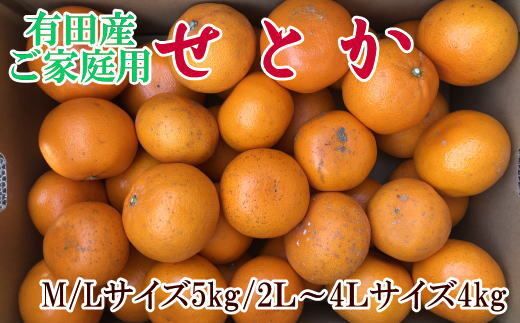 【先行予約】【訳あり・ご家庭用】和歌山紀州有田産 せとか 約4～5kg 柑橘 一度は食べていただきたい