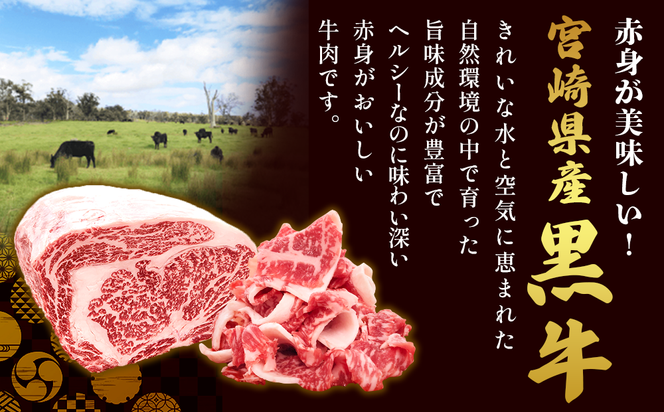 宮崎県産 黒牛 切り落とし 600g（300g×2パック） 赤身 牛肉 切り落とし 肉 お肉 牛 国産牛 小分け 真空パック  冷凍 贈答 ギフト 人気 国産 えびの市