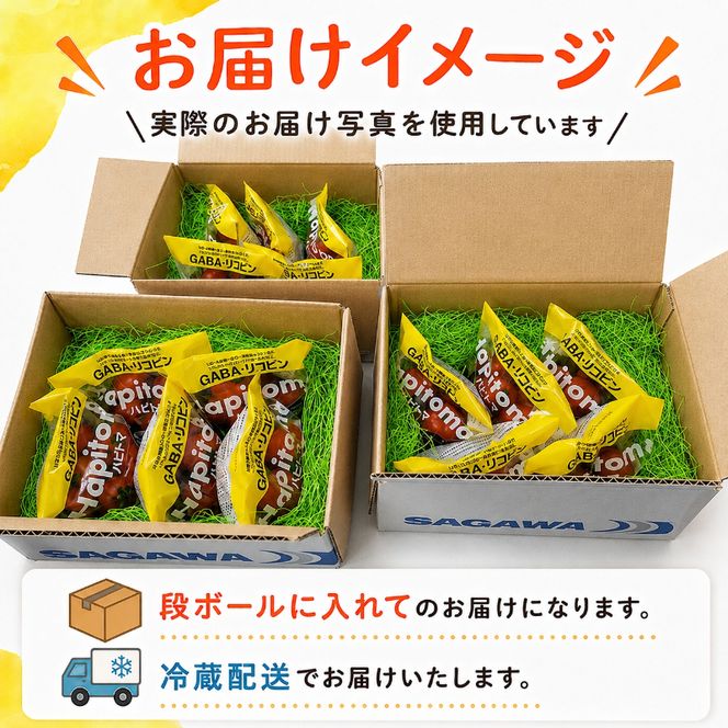 機能性表示食品 Hapitoma ハピトマ 糖度6（1kg）【配送不可：北海道・沖縄・離島】健康 ヘルシー GABA リコピン 人気 厳選 袋井市 野菜 トマト ミニトマト とまと 