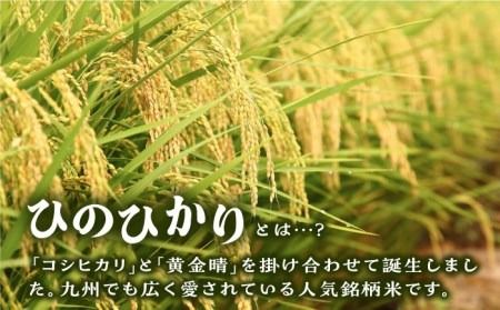 ＼ 令和6年産新米 ／ 糸島産 ひのひかり 10kg 糸島市 / 三島商店 [AIM004] 米 白米