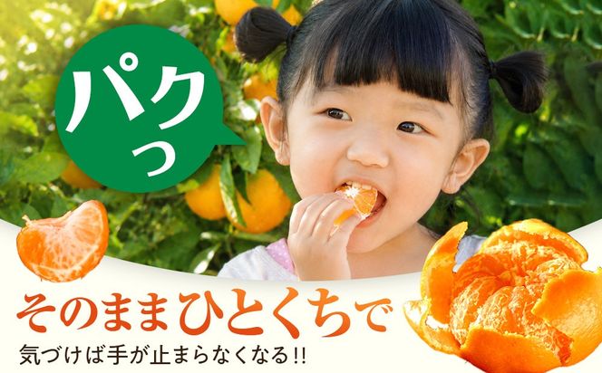 完熟 小粒 有田みかん 3kg 甘味凝縮 和歌山県産 産直45年 武内園 BA03