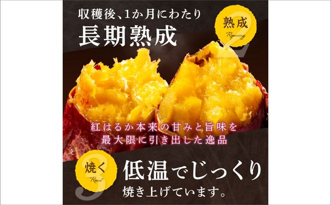 【先行予約】【訳あり】京の味覚「京都産極上紅はるか」の冷凍焼き芋3kg ふるさと納税 やきいも ふるさと納税 焼き芋 さつまいも 薩摩芋 焼き芋 国産 完熟 高糖度 個包装 蜜入り  訳あり 産地直送　ST00058