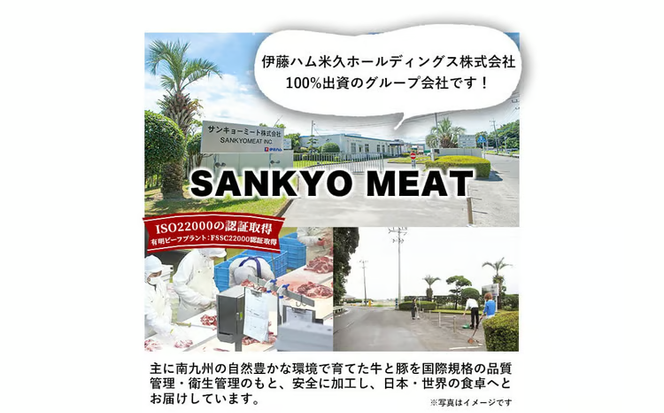 鹿児島県産黒毛和牛肩ローススライス (計700g・350g×2P) a4-113