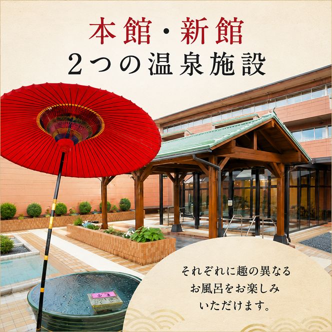 池田温泉 大人回数券1冊 (11枚つづり) チケット 温泉利用券 