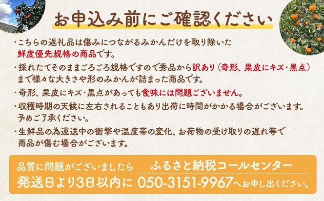 みかん 山から直送 箱込 約1kg(内容量約 0.9kg) サイズミックス 和歌山県産 産地直送 家庭用［2025年11月中旬より2026年1月中旬頃順次出荷予定］［みかんの会］AX386