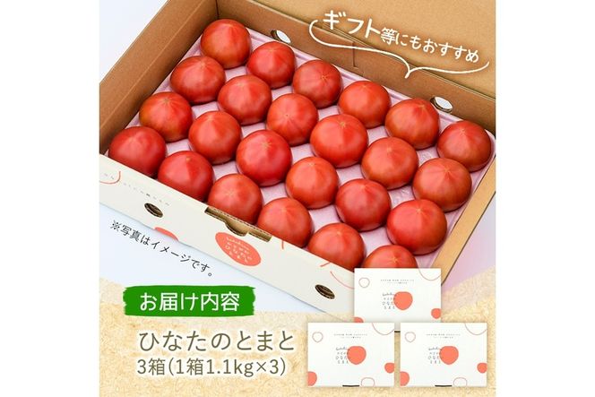 ＜先行予約受付中！2026年2月から順次発送予定＞ひなたのとまと(計3.3kg・1.1kg×3箱)トマト フルーツトマト 糖度 9度 以上 野菜 旬野菜 冷蔵 門川町産【A-5】【新門トマト農園】