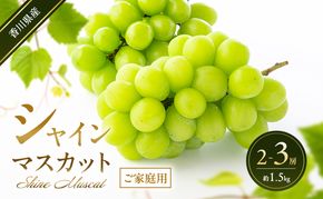 シャインマスカット 【ご家庭用】 2～3房(約1.5kg) 葡萄 ぶどう ブドウ フルーツ 果物 くだもの 果実 旬の果物 旬のフルーツ 香川 香川県 東かがわ市