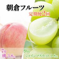 限定 数量 定期便 2回 桃 シャインマスカット 2027年 発送 フルーツ 夏のフルーツ定期便 果物 もも モモ マスカット デザート 朝倉 ※配送不可 離島
