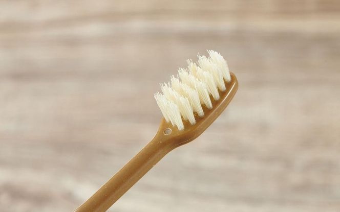 MEGURU 竹の歯ブラシ 豚毛 4本セット fain0005