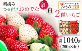 【先行予約】いちご おめでた紅白2種いちご 4パック ※2027年2月～発送