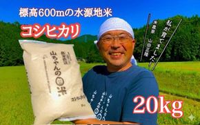 543. 農家直送「山ちゃんのお米」コシヒカリ20kg