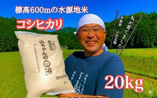 543. 農家直送「山ちゃんのお米」コシヒカリ20kg