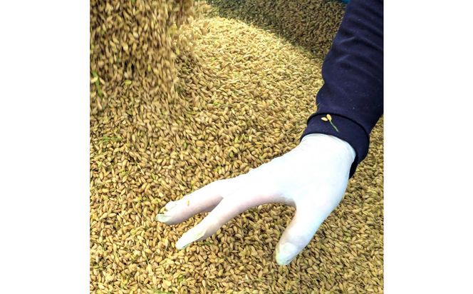 1805.令和7年産　こしひかり精米　10kg 313726_CH002