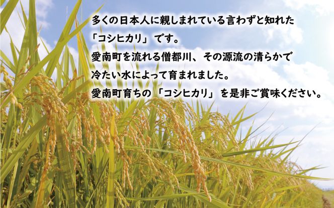 先行予約 新米 令和7年産 コシヒカリ 10kg 24000円 お米 白米 精米 米 こめ 産地直送 国産 農家直送 期間限定 数量限定 特産品 先行 事前 受付 令和7年度産 2025年産 もっちり 粘り 甘み おいしい おにぎり こしひかり 内祝い お祝い 贈答品 お返し プレゼント ギフト 土産 御礼 お礼 お取り寄せ 田中均 愛南町 愛媛県