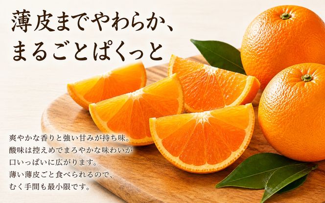 "紀州和歌山有田産ポンカン　5㎏※2027年1月下旬頃〜2027年2月上旬頃に順次発送（お届け日指定不可）【uot722A】"