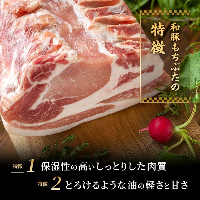 もちぶた お試しセット こだわりのちょっと贅沢を ソーセージ 角煮 豚肉