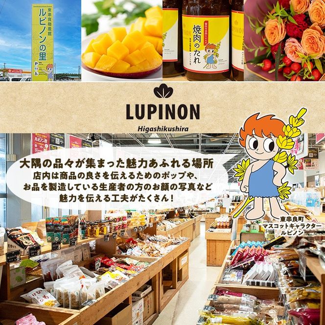 【0075934a】物産館おススメ！東串良町産 冷凍焼き芋・紅はるか(計1kg・500g×2袋) 焼芋 焼き芋 やきいも さつまいも さつま芋 スイーツ ご家庭用 【東串良物産館ルピノンの里】