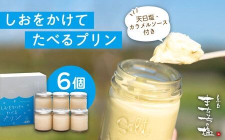 しおが主役 しおをかけてたべる プリン 花塩 プレーン 6個 セット 糸島市 / またいちの塩 [AEB001] プリン ギフト 塩 お菓子 テレビ スイーツ デザート 詰め合わせ