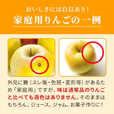 りんご シナノゴールド 家庭用 約10kg フルーツ 果物 甘い 訳あり 林檎 リンゴ