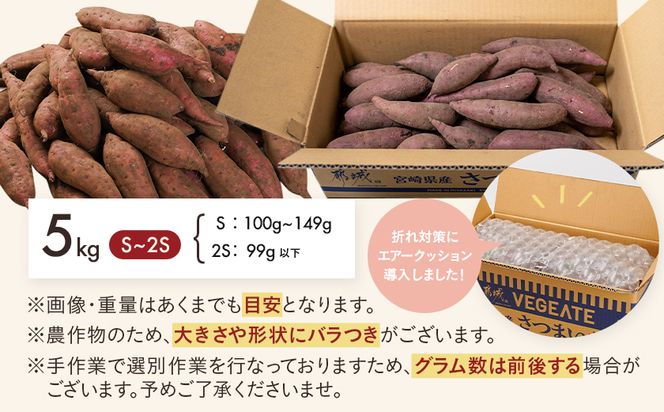先行受付!【11月お届け】島津甘藷　熟成紅はるか 5kg(S～2S)_LE-A7-001-5kg-m-11