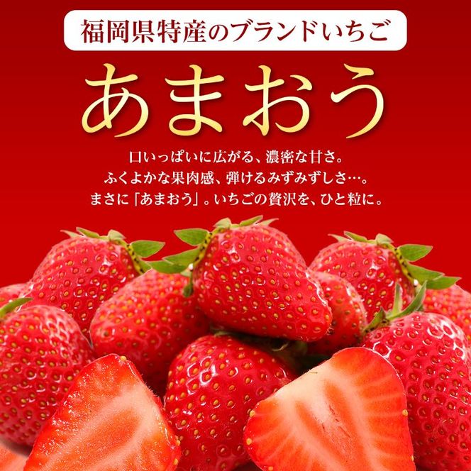 いちご 2026年2月より発送 うるう農園のあまおう大福キット(あまおう1パック＋大福6個セット) 果物 和菓子 生菓子 苺大福 フルーツ 和スイーツ 特別栽培 福岡県産 おやつ ※配送不可：離島