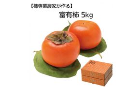 【柿専業の農家が作る】出雲産富有柿　5kg【11月下旬以降お届け】 322032_BK008