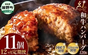 幻のあかうし和牛ハンバーグ 11個入り 12ヶ月定期便 1個120g 田野屋青蜂 白鯆 完全天日塩練り込み 肉 お肉 国産牛 土佐あかうし 四万十ポーク おかず 惣菜 おいしい お取り寄せ 冷凍 配送 高知県 田野町