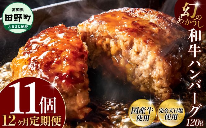 幻のあかうし和牛ハンバーグ 11個入り 12ヶ月定期便 1個120g 田野屋青蜂 白鯆 完全天日塩練り込み 肉 お肉 国産牛 土佐あかうし 四万十ポーク おかず 惣菜 おいしい お取り寄せ 冷凍 配送 高知県 田野町