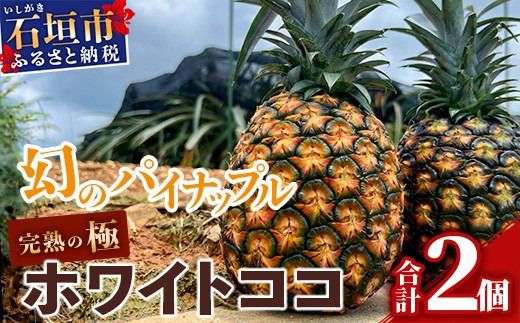 [マツコの知らない世界で絶賛!][2025年5月以降順次発送][先行予約] 最高糖度20度!? 完熟の極 石垣島産幻のパイナップル ホワイトココ2個セット[ 沖縄 石垣島 石垣 八重山 パイン パイナップル 期間限定 数量限定 TV テレビ 紹介 マツコ ]TF-2_R7