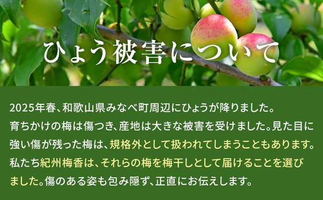 無添加梅干し ひょう被害エール規格外昔ながらの梅干し 塩のみで漬けたすっぱい梅干し 1kg（500gパック×2個） 塩分20% 20-HYO ［KU13］ 303446_ED90012