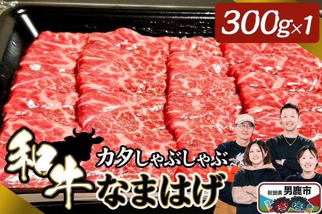 和牛なまはげ カタしゃぶしゃぶ 300g 大進農場|23_dsf-020301