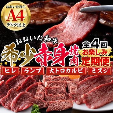 ＜定期便・全4回＞おおいた和牛 希少 赤身 焼肉 お楽しみ 定期便 (3ヶ月ごとにお届け) 国産 牛肉 肉 霜降り A4 ヒレ ランプ 大トロカルビ ミスジ 和牛 ブランド牛 冷凍 大分県 佐伯市【DH247】【(株)ネクサ】