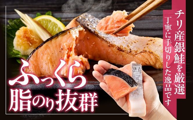 G4010 【定期便】銀鮭 切身 約50g×20切れ 全3回【お弁当サイズ 小分け 漁師 手切り 1kg さけ サケ 切り身 弁当 朝食 時短 訳あり サイズ不揃い 規格外 冷凍食品】