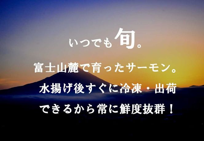 E25【1月31日(金)発送】日本初！今話題の国産アトランティックサーモン「FUJI ATLANTIC SALMON」【冷凍】1,100ｇ