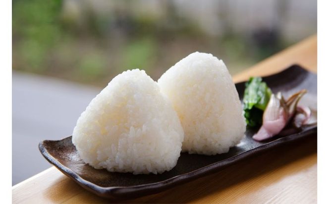 江戸伝承棚田米４Kg（２kg×２） お米 コメ 